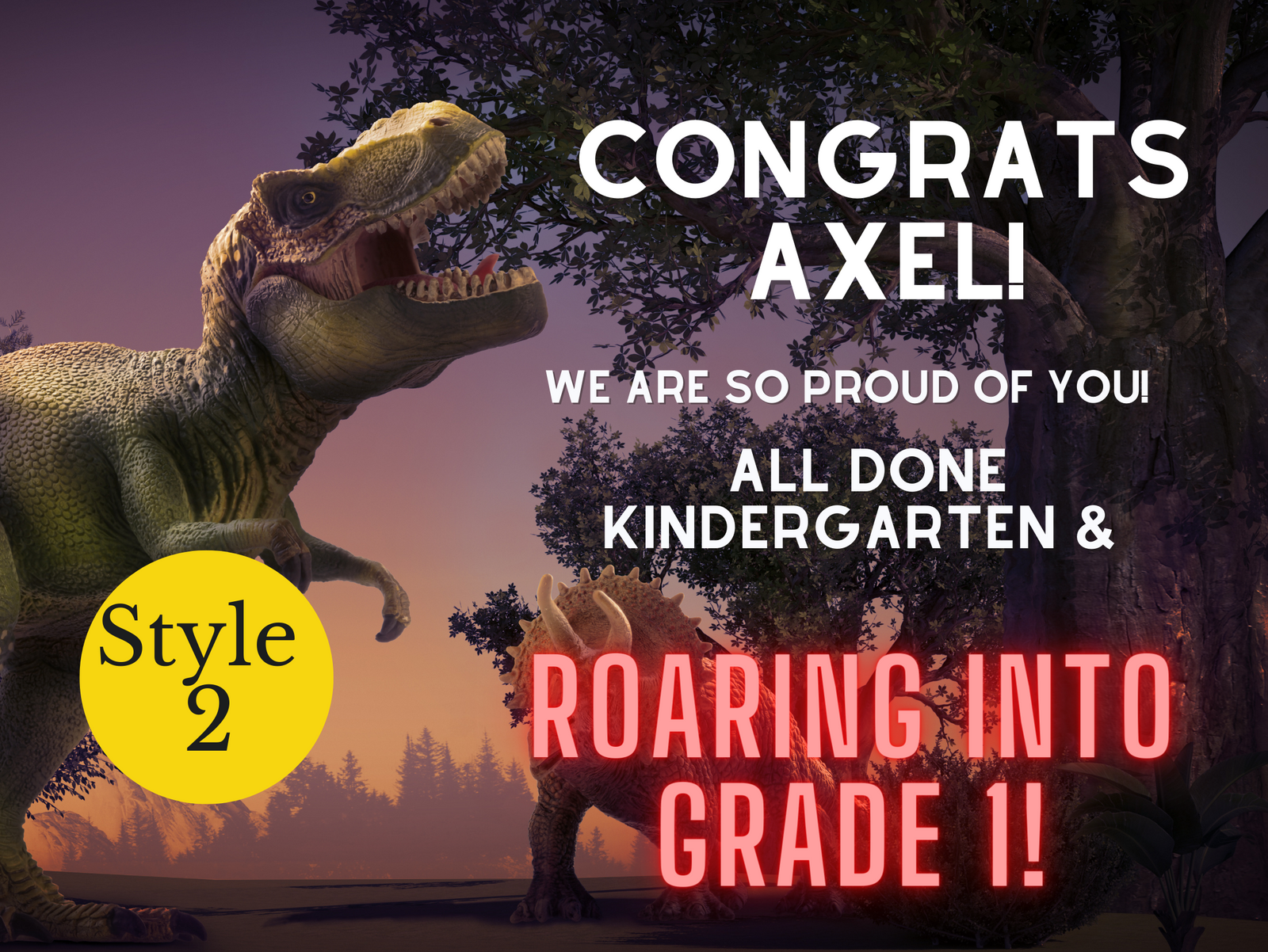 Graduation Lawn Signs