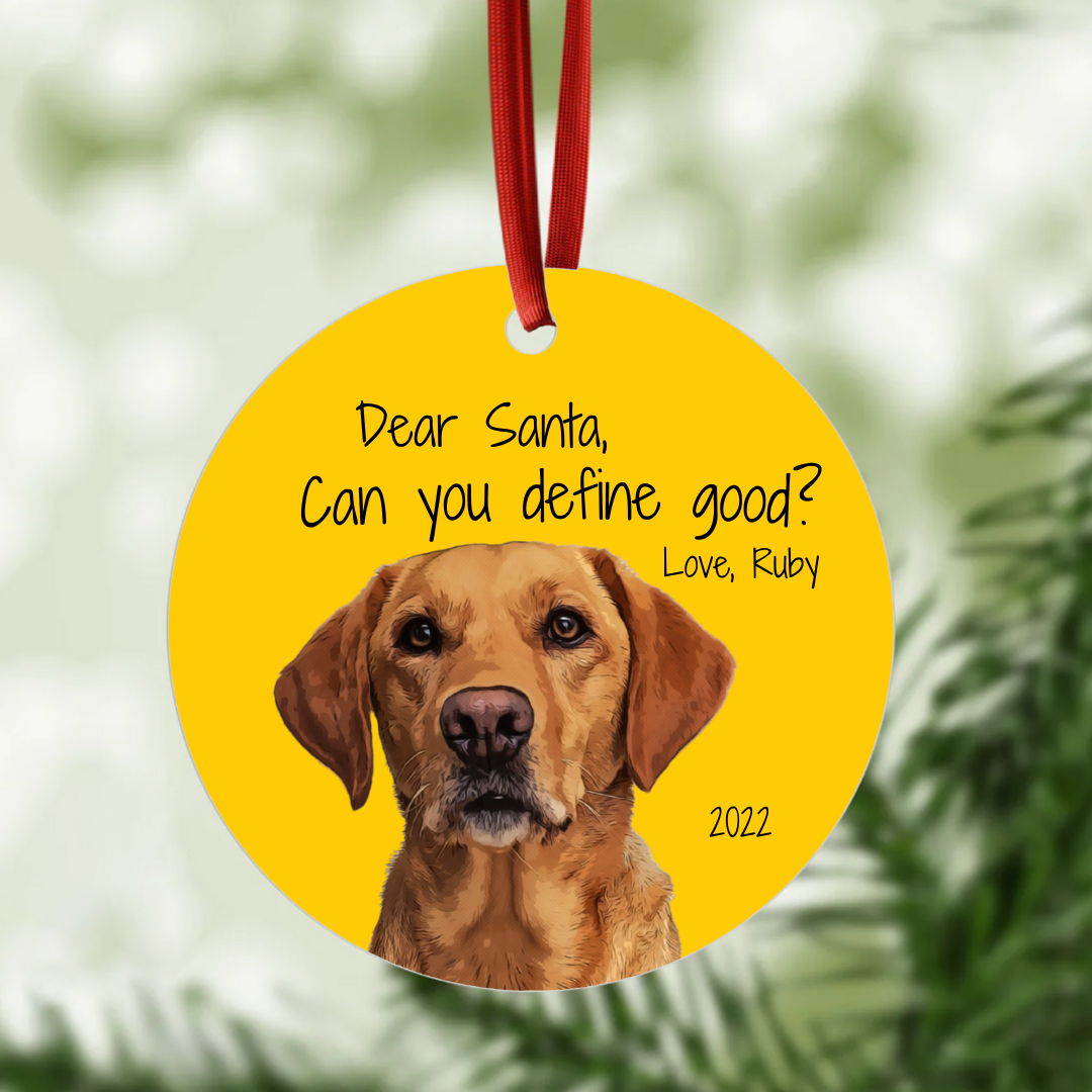 Illustrated Pet Portrait Collection