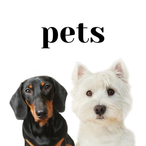 Pets