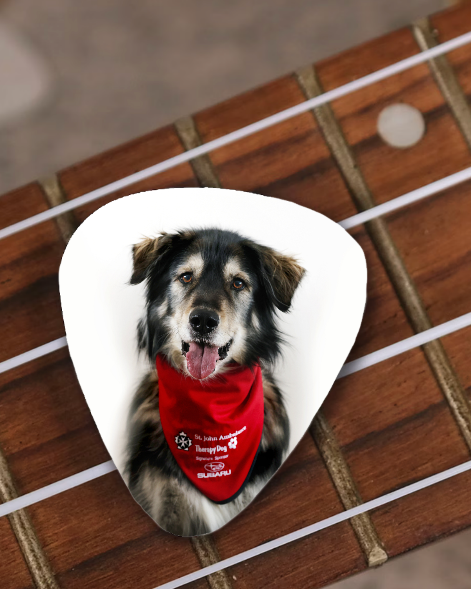 Personalized Guitar Pick