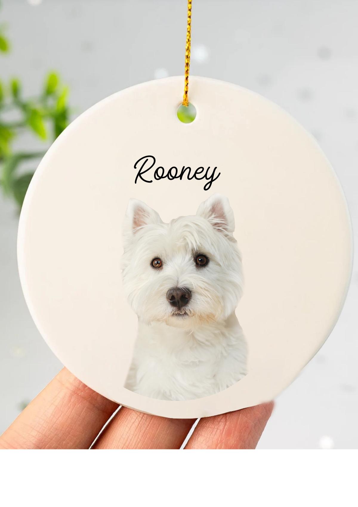 Ceramic Round Ornament with your Pet's Name and Photo