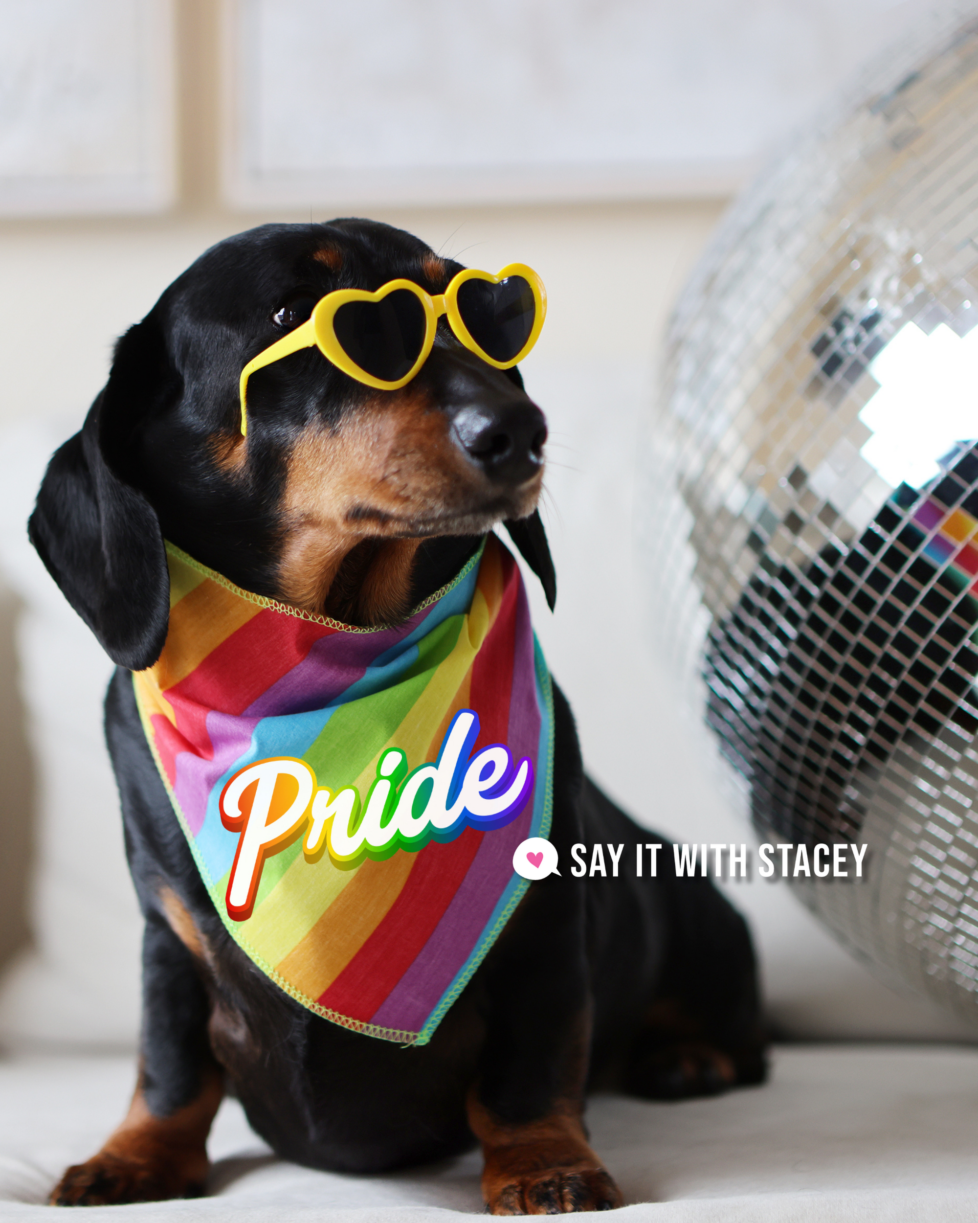 PRIDE dog Bandanas | Love is Love | I Love My Moms/Dads | Pride