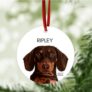Illustrated Pet Christmas Ornament