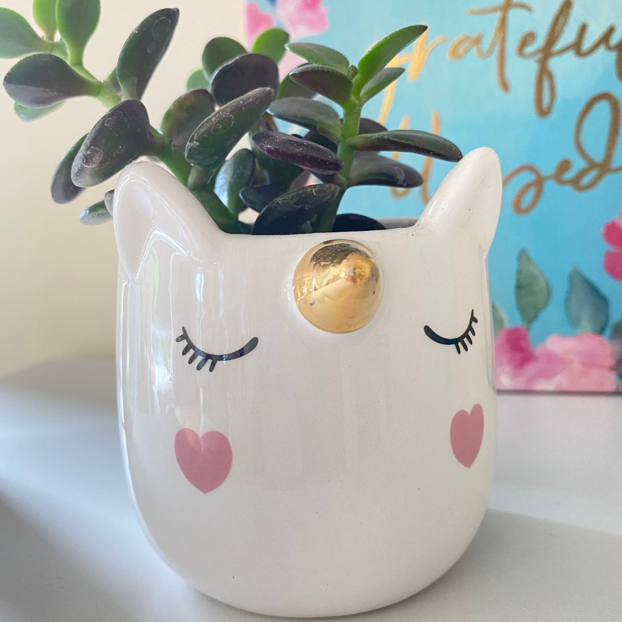 Unicorn Planter