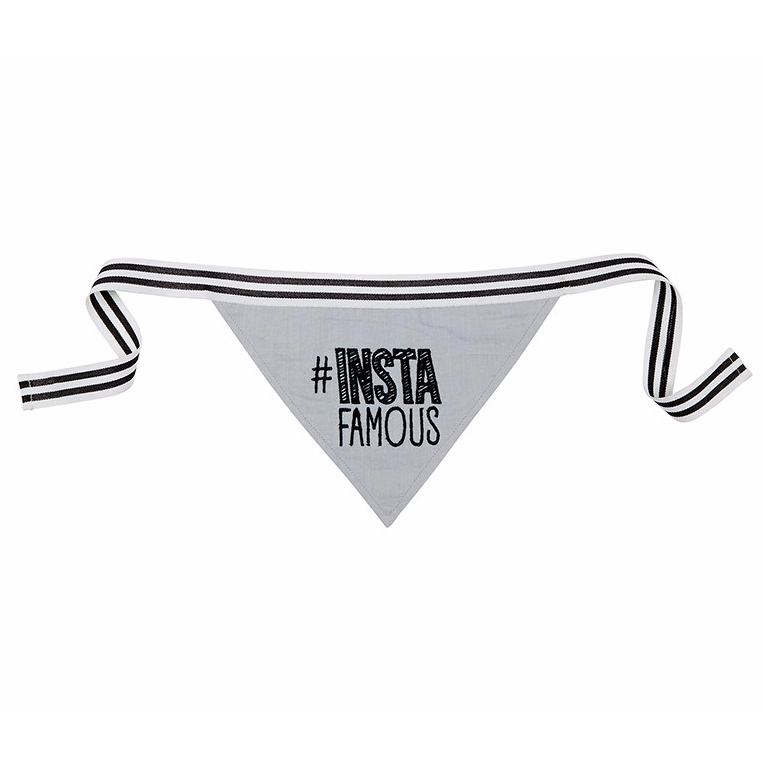 One size pet bandana