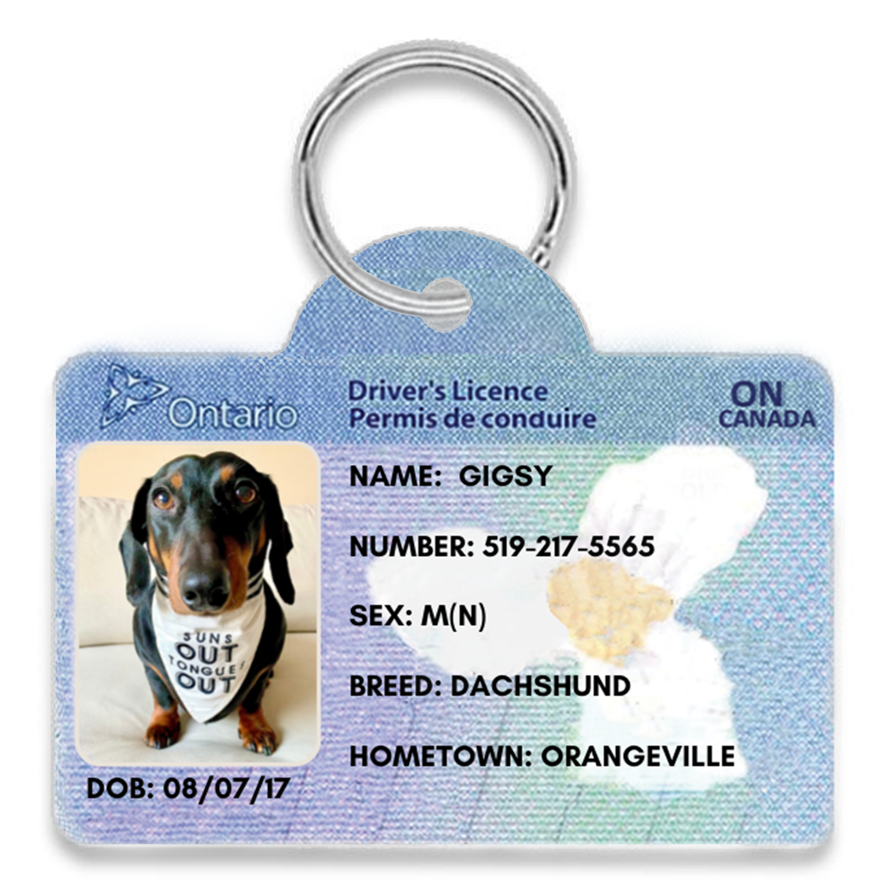 Ontario Licence Themed Dog Tag Say it with Stacey
