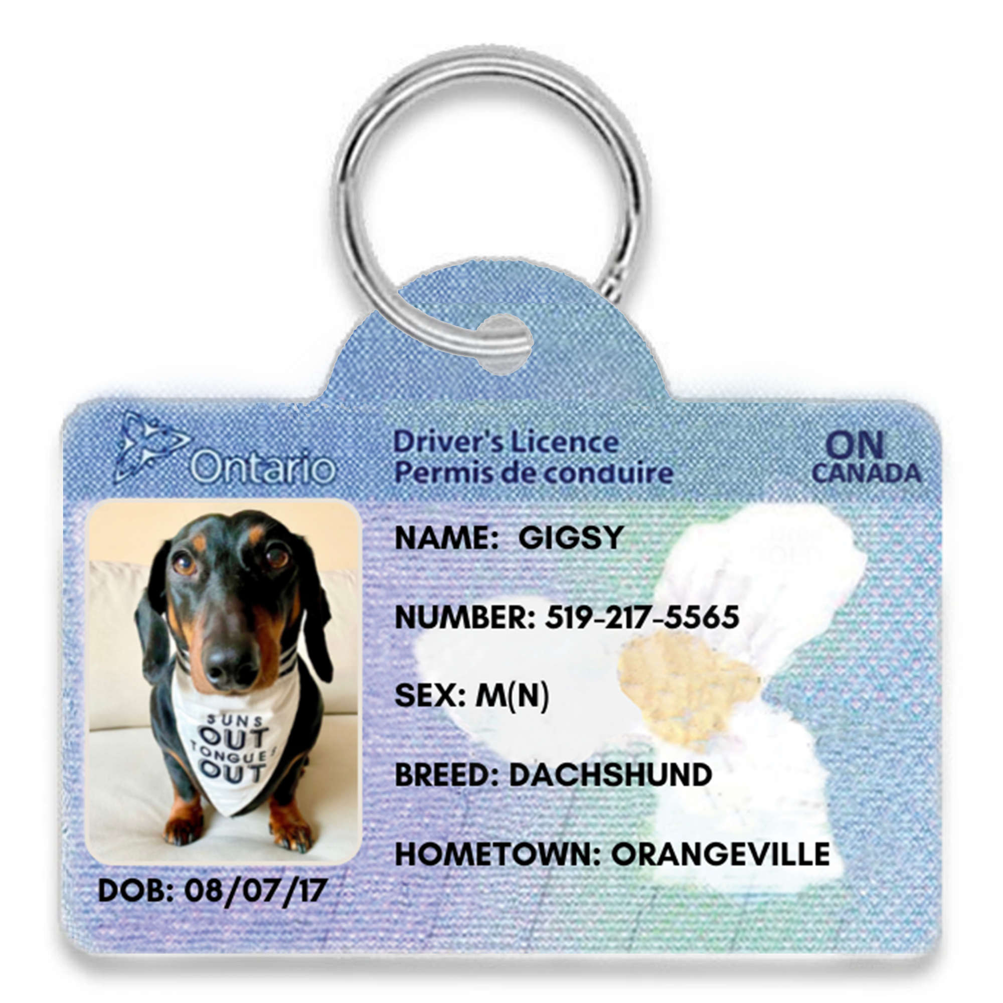 Ontario Licence Themed Dog Tag